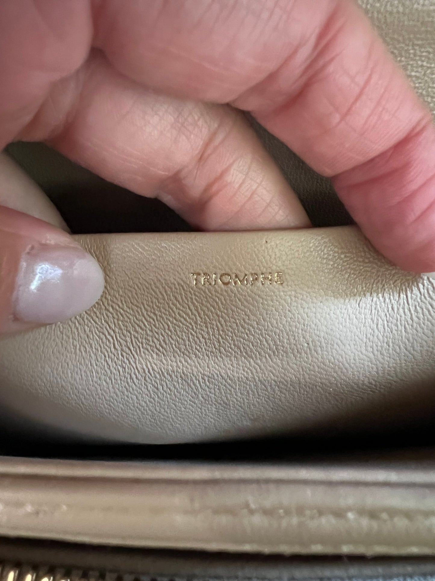 Celine Triomphe Crossbody Bag Medium