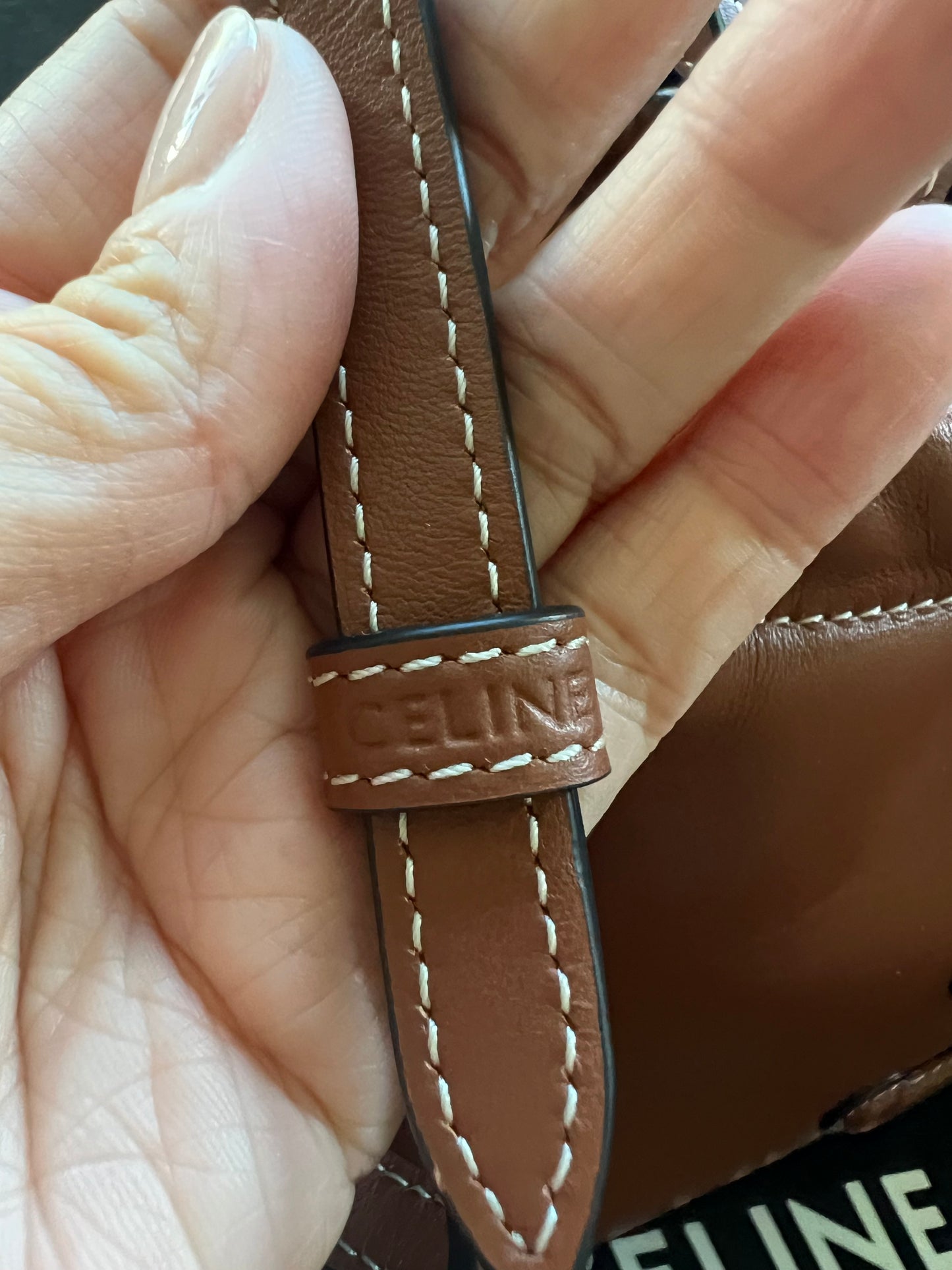 New Celine Triomphe Cabas crossbody bag