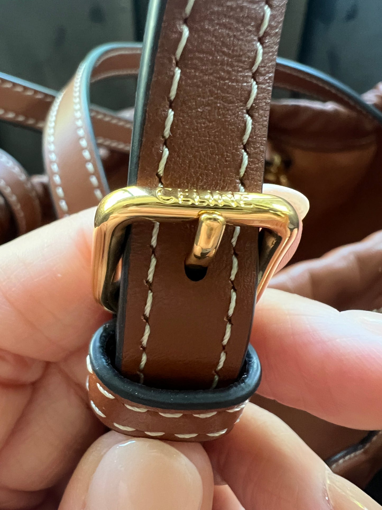 New Celine Triomphe Cabas crossbody bag