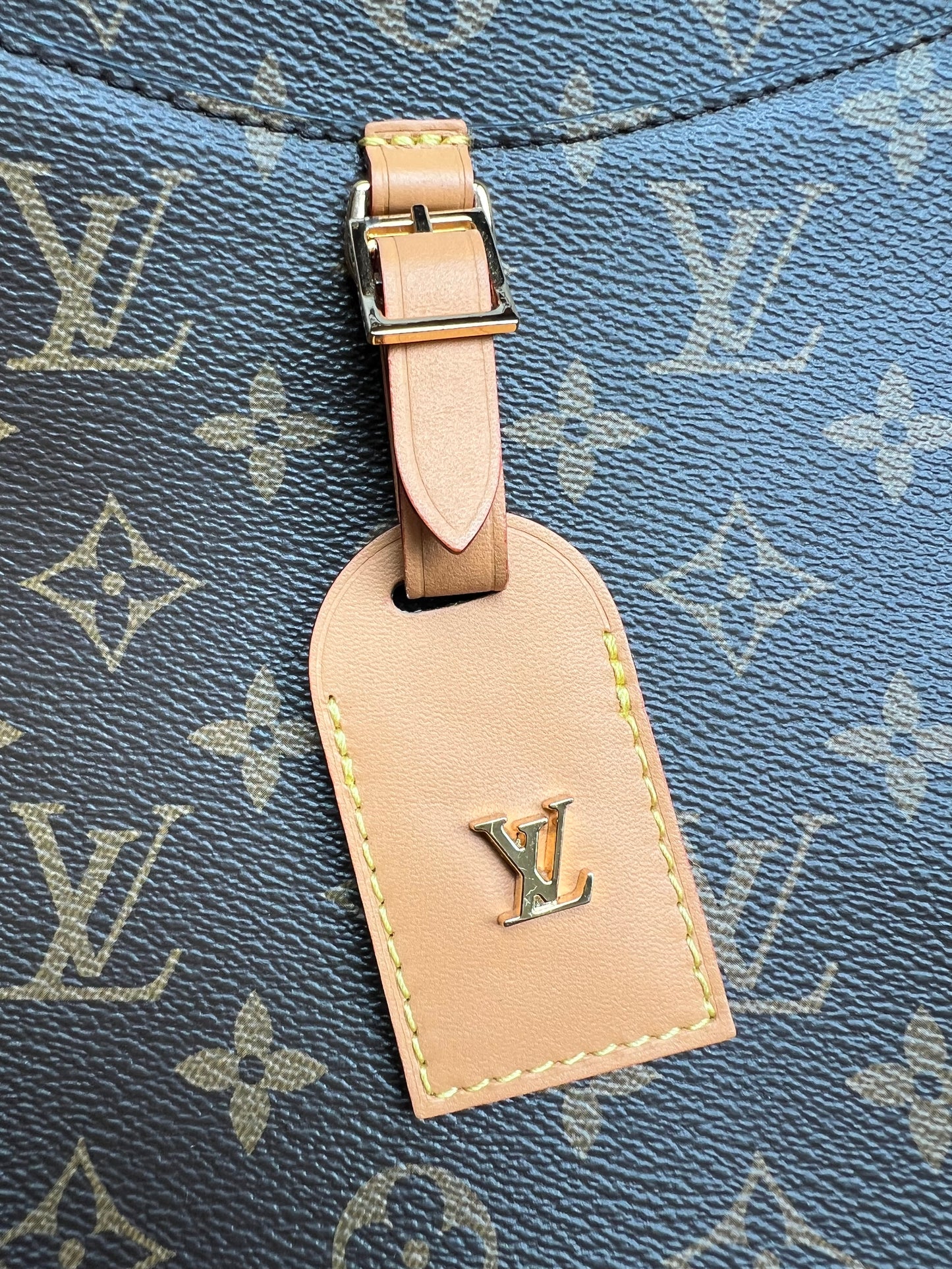 Louis Vuitton Odeon MM
