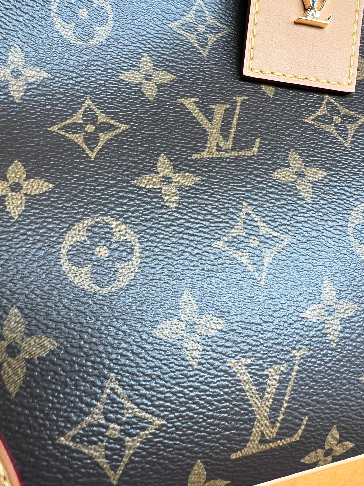 Louis Vuitton Odeon MM