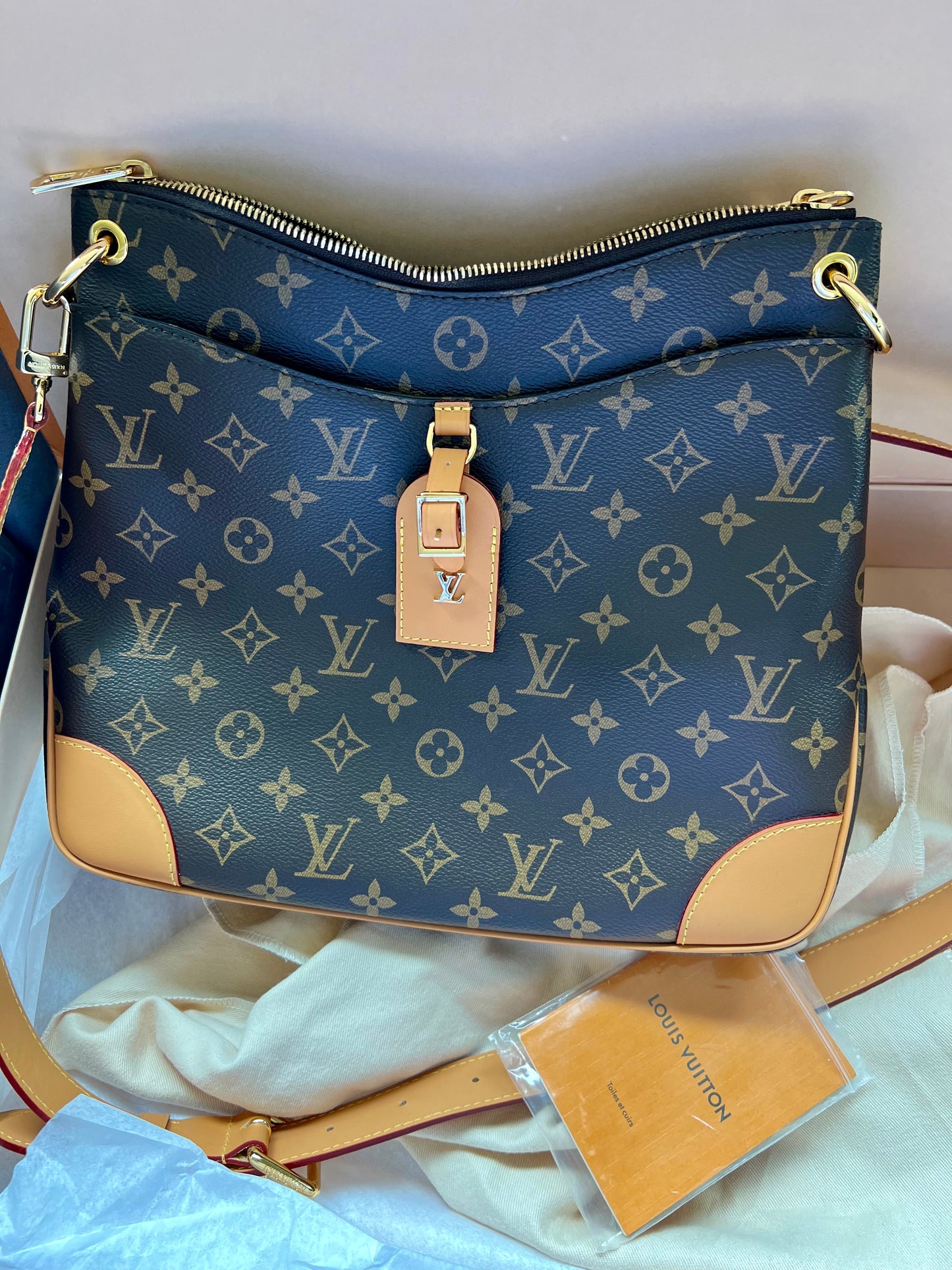 Louis Vuitton Odeon MM