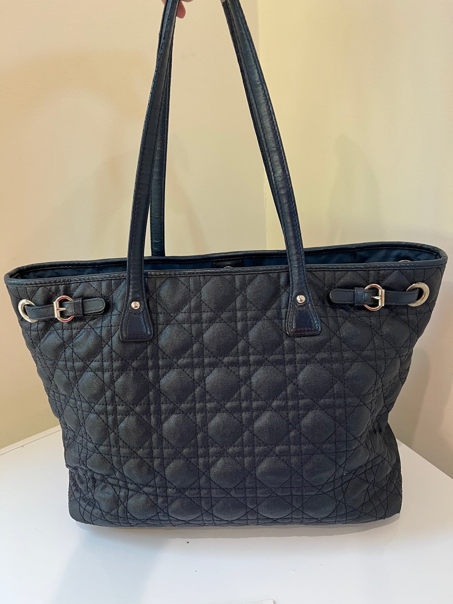 Lady Dior Cannage Panarea Tote