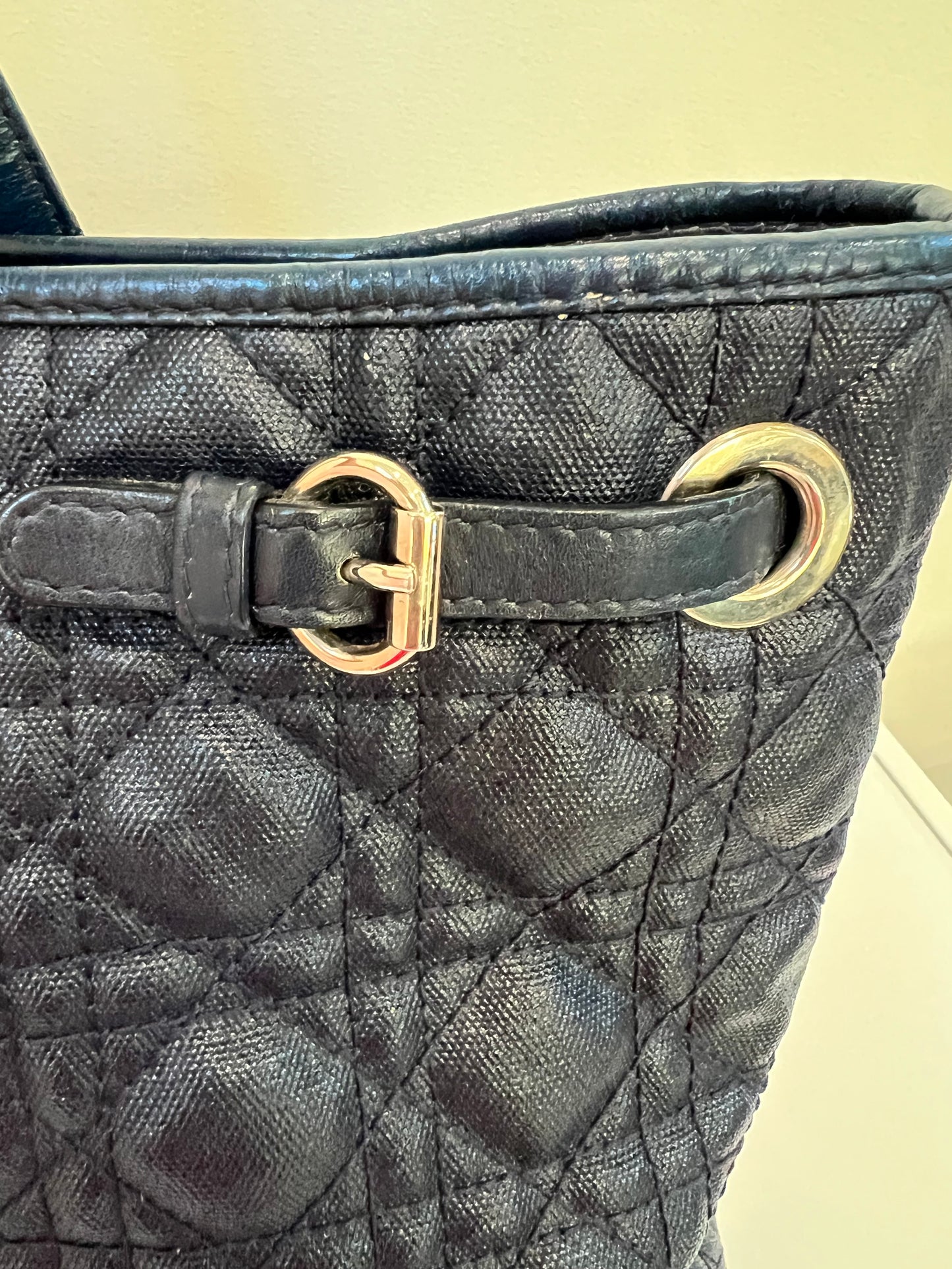 Lady Dior Cannage Panarea Tote