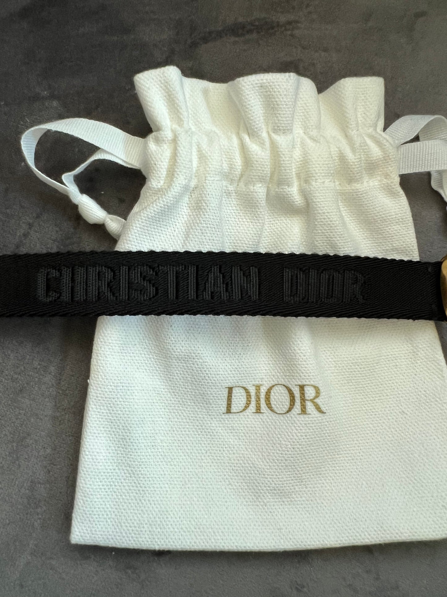 Christian Dior saddle belt