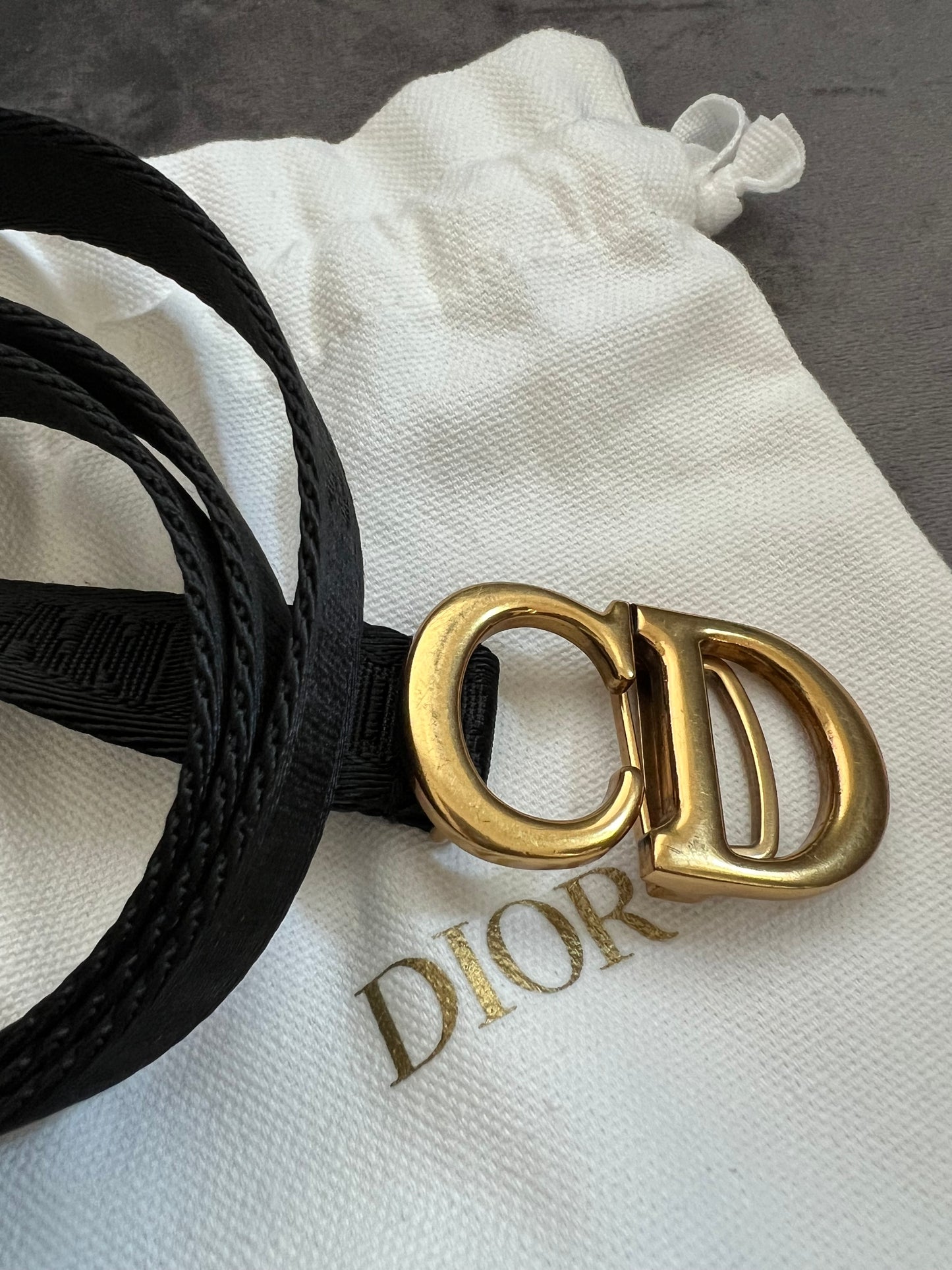 Christian Dior saddle belt