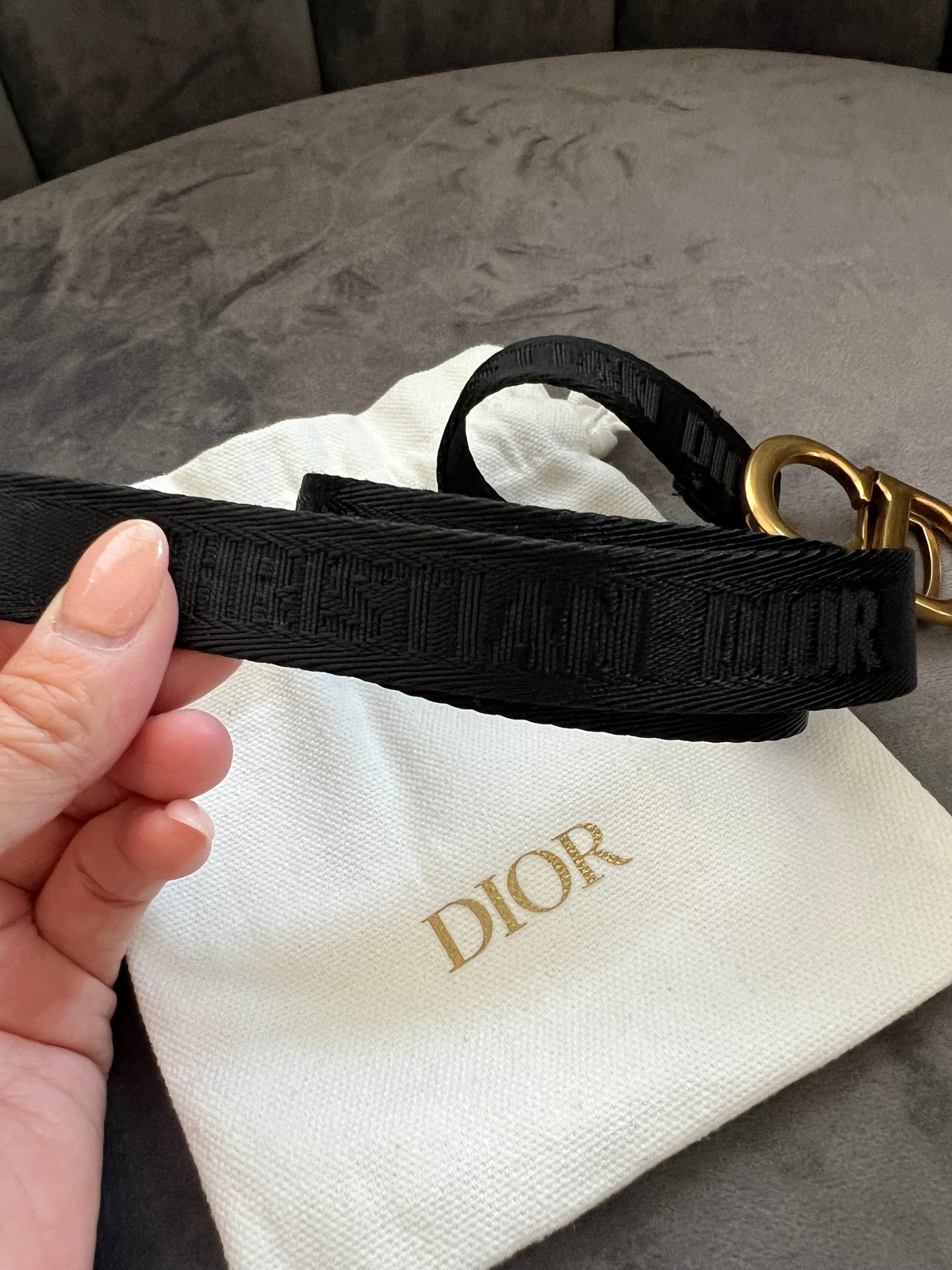 Christian Dior saddle belt
