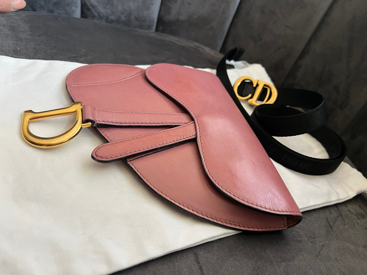 Dior saddle belt & shoulder bag