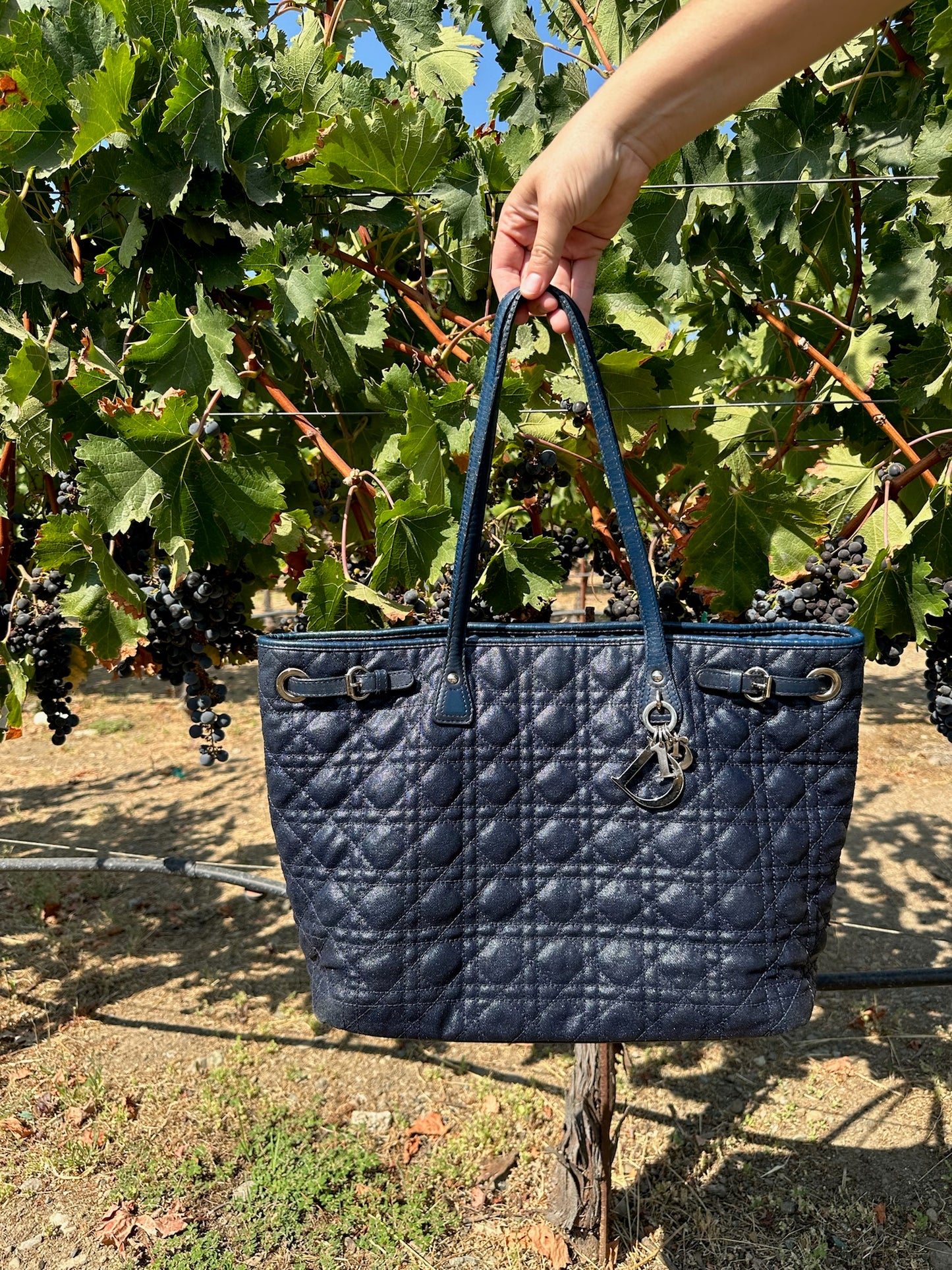 Lady Dior Cannage Panarea Tote