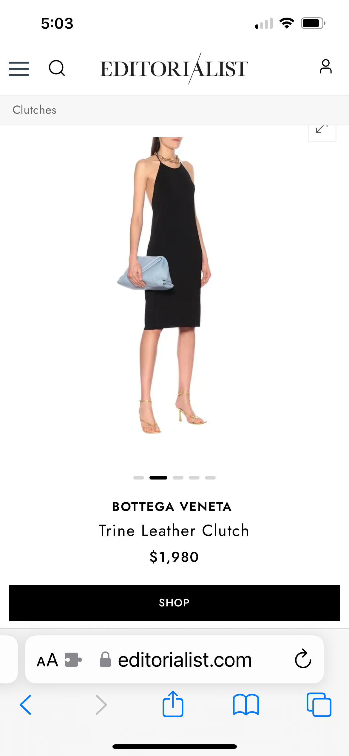 Bottega Veneta trine clutch wristlet