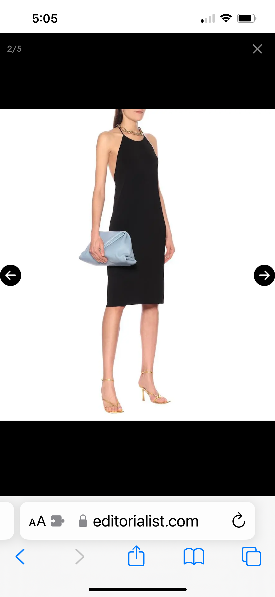 Bottega Veneta trine clutch wristlet