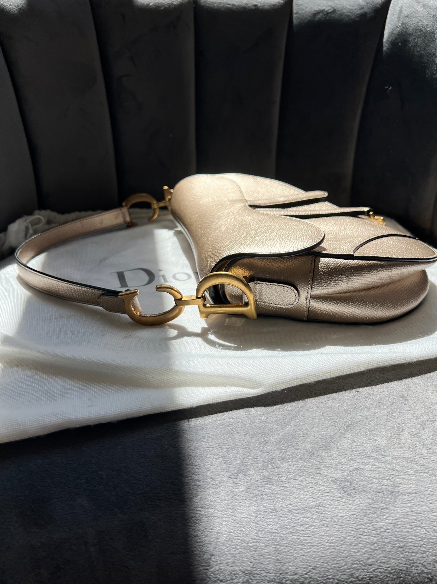 Dior saddle bag ultra rare champagne gold