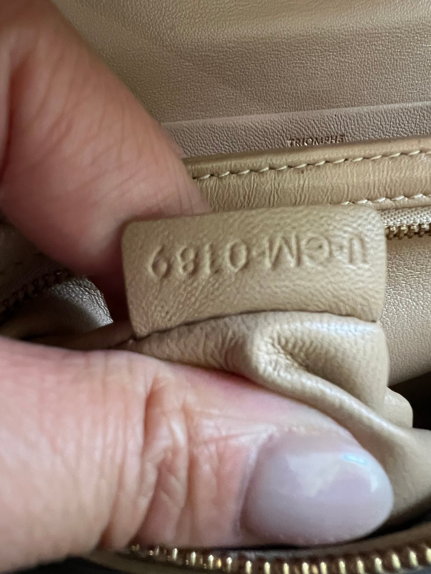 Celine Triomphe Crossbody Bag Medium